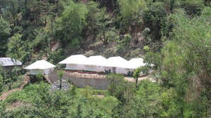 A series of white tents with a stone wall and steps leading up to them, surrounded by dense greenery. - Billing View Camp and Mud Houses (Jogindarnagar)