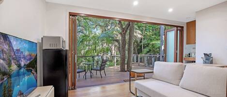 تلفزيون، مكتب