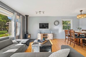 Fernseher, Arbeitsbereiche