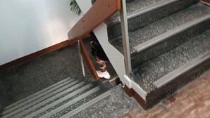 Una escalera con barandilla, peldaños alfombrados y un interruptor de luz en la pared.