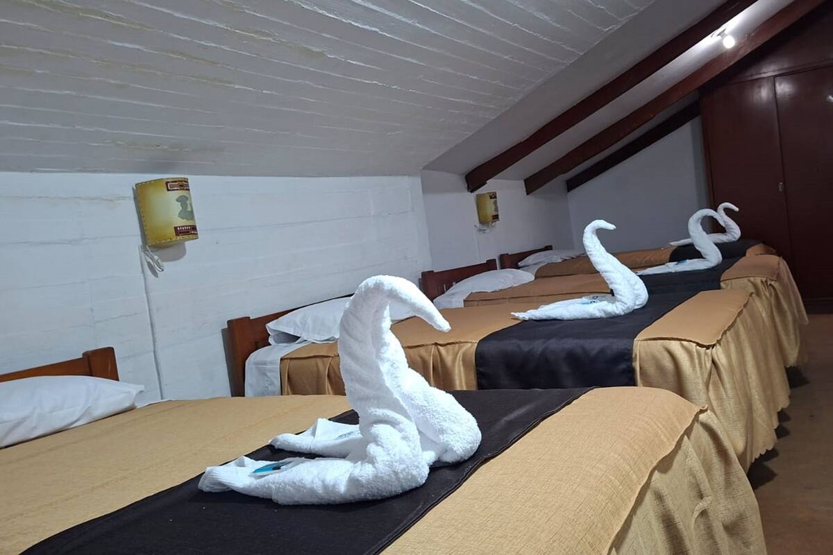 Hotellihuone, jossa on kolme sänkyä, ja jokaisessa sängyssä on joutsenen muotoinen pyyhe.