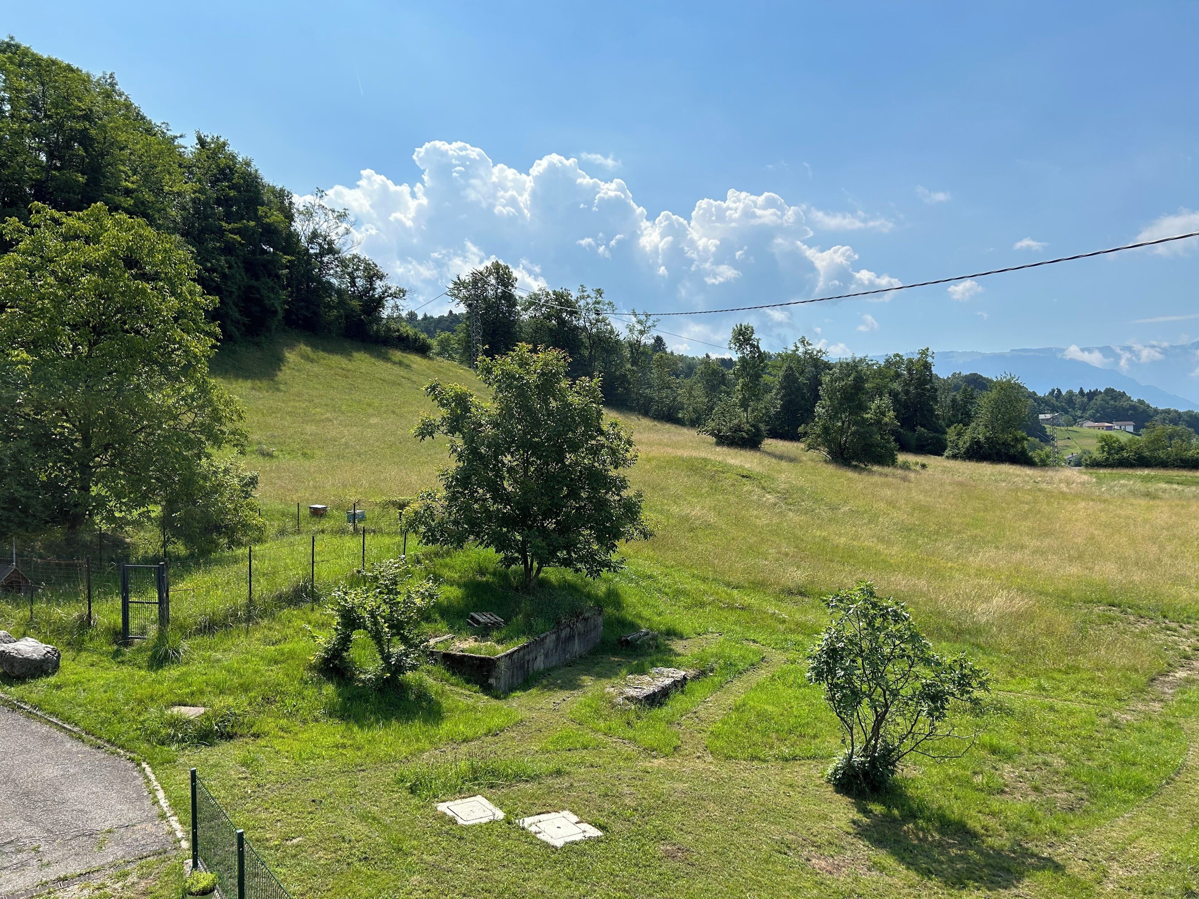 A rural landscape with a grassy field, trees, and a distant view of mountains.