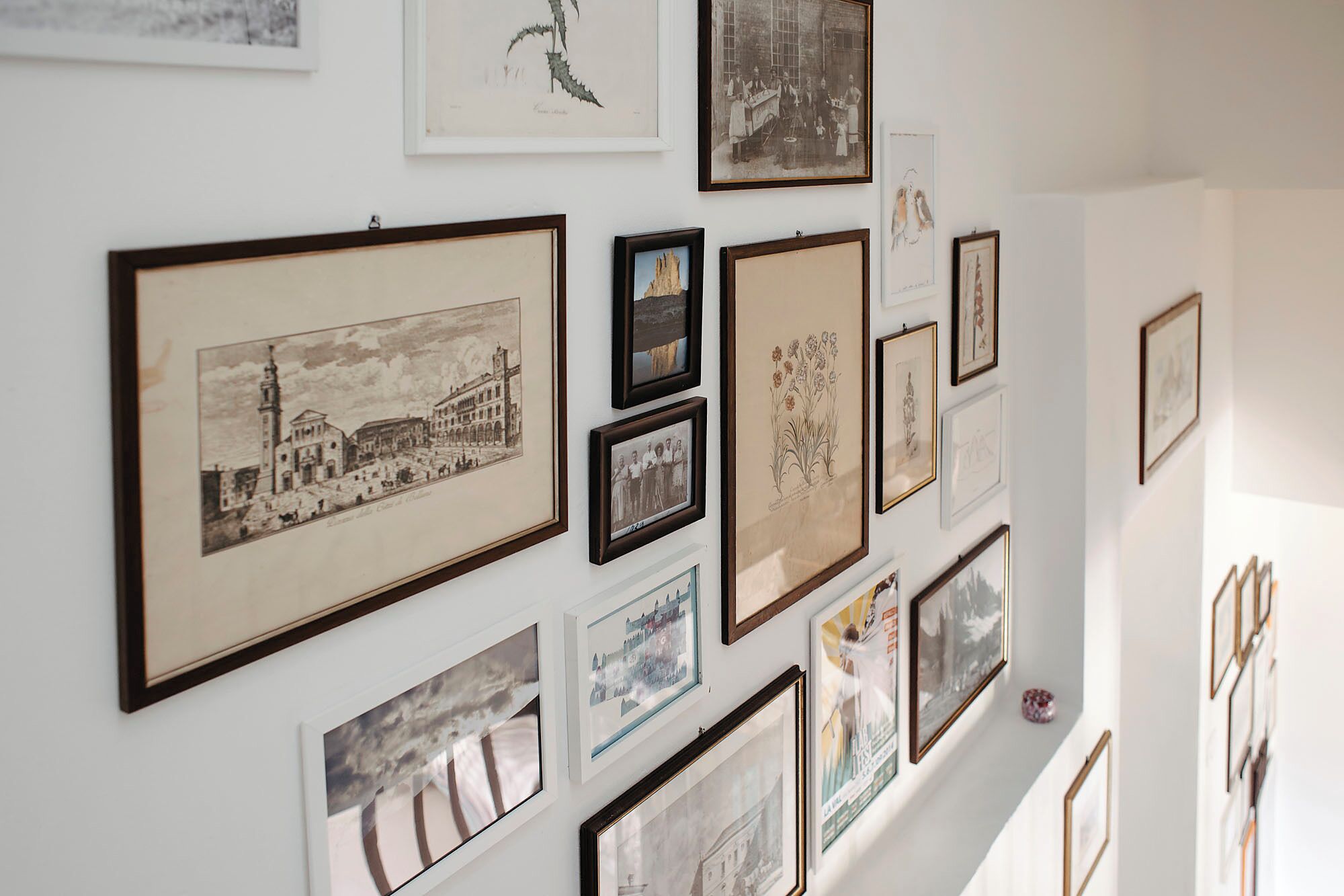 Un mur décoratif composé de différents tableaux encadrés, notamment des dessins d’architecture et des illustrations botaniques.