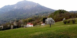 Exterior - Fastuc B&B (Ponte nelle Alpi)