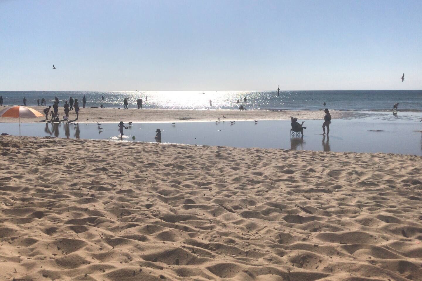 Una playa arenosa con gente y aves, una tienda de campaña y agua tranquila.