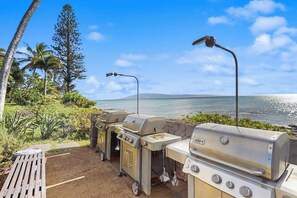 Property grounds - Comfortable condo in oceanfront complex, private lanai, shared pool & BBQ, WIFI (Lahaina)