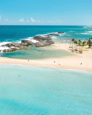 Sun-loungers, beach towels - CH 1003: Cozy studio with kitchenette, WiFi & Pool, CH 1003: Cozy studio in amazing Manatí with AC, ... (Tierras Nuevas Saliente)