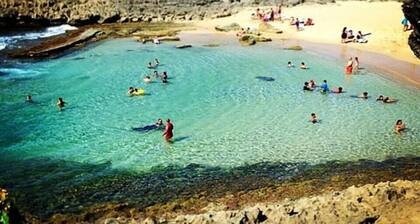 CH 1003: Cozy studio with kitchenette, WiFi & Pool, CH 1003: Cozy studio in amazing Manatí with AC, ...