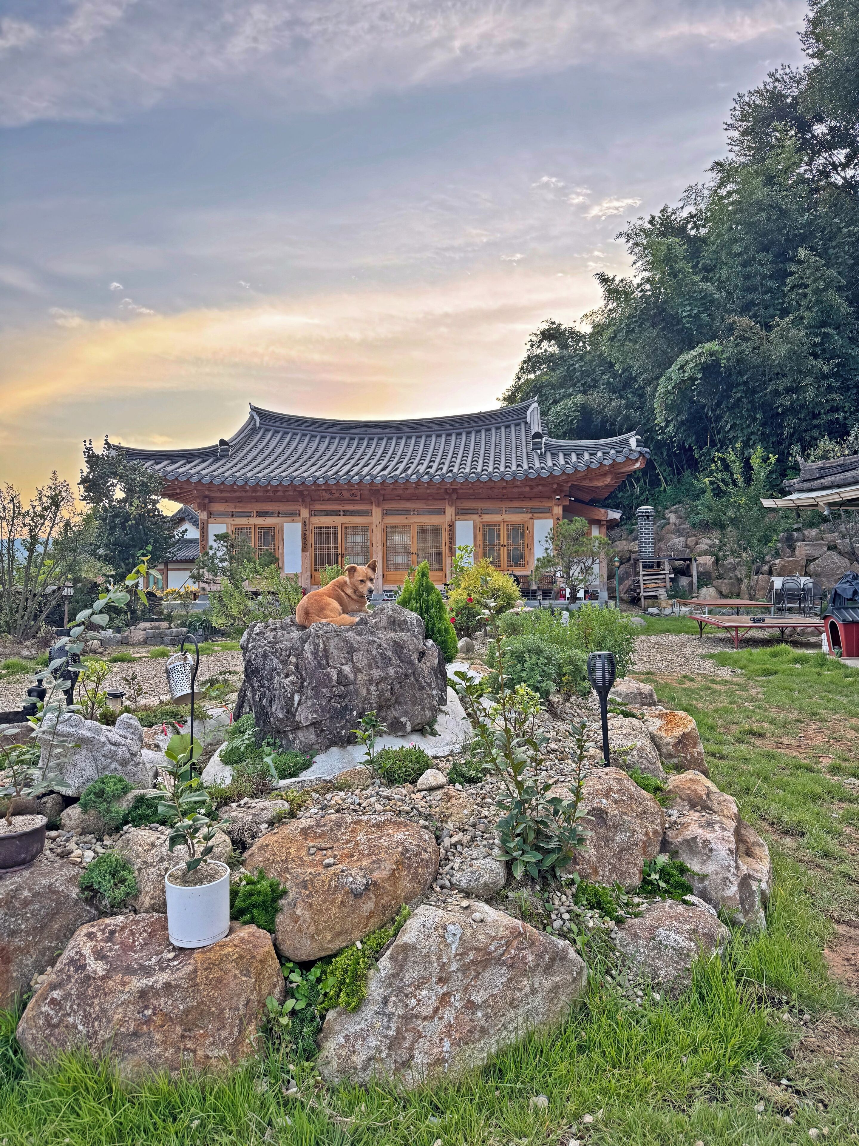 Family House, Kitchen, Mountain View | View from room