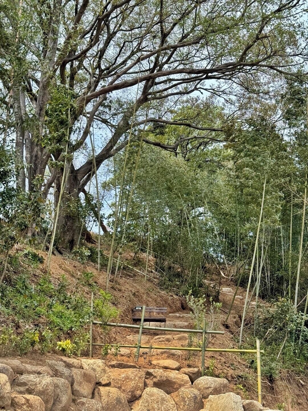 A natural landscape with a large tree, rocky terrain, and bamboo scaffolding.