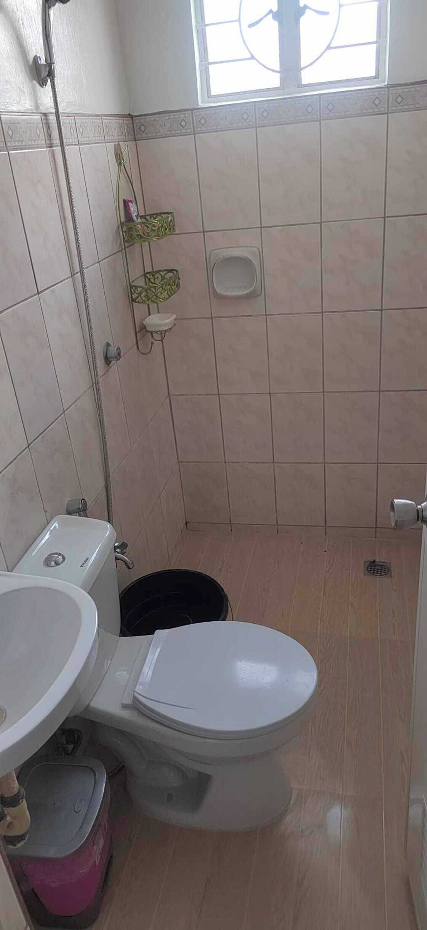 Une petite salle de bain avec des toilettes, un lavabo et une douche.