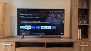 Fernseher