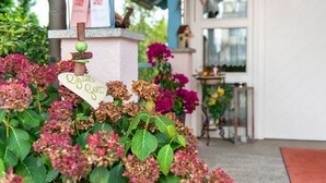 A garden area with hydrangeas and a sign that reads 'Good Luck.'