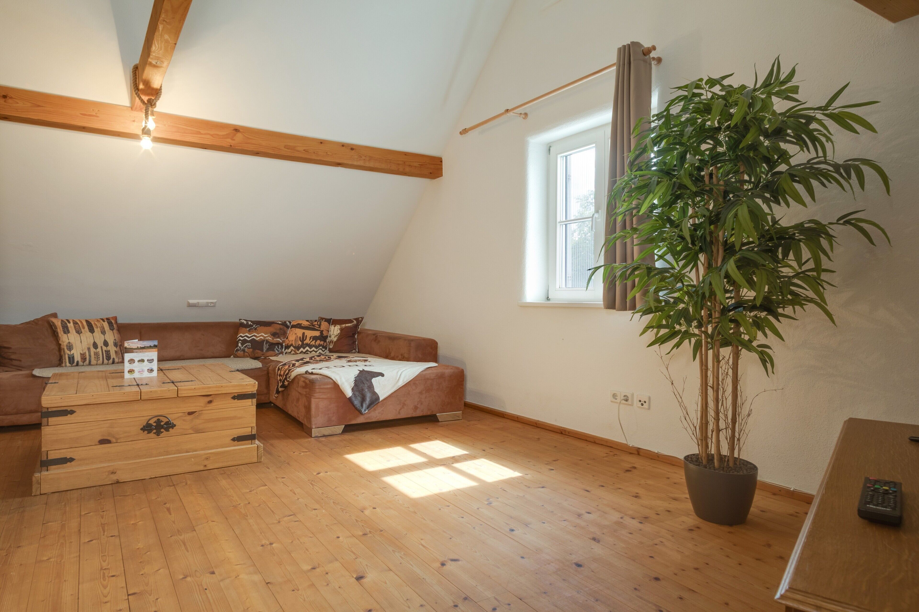Habitació d'estil loft amb sostre inclinat, bigues de fusta, una finestra gran, un sofà, arquets i una planta en test.