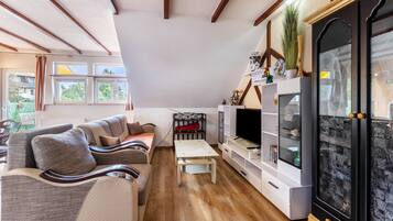 Fernseher, Stereoanlage