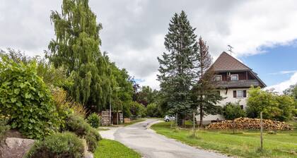Ferienwohnung 'Malsam' mit Seeblick, Balkon und Wi-Fi