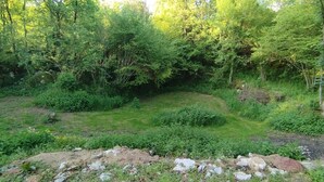 Eine natürliche Landschaft mit einer grasbewachsenen Fläche, dichter Baumvegetation und verstreuten Felsen.