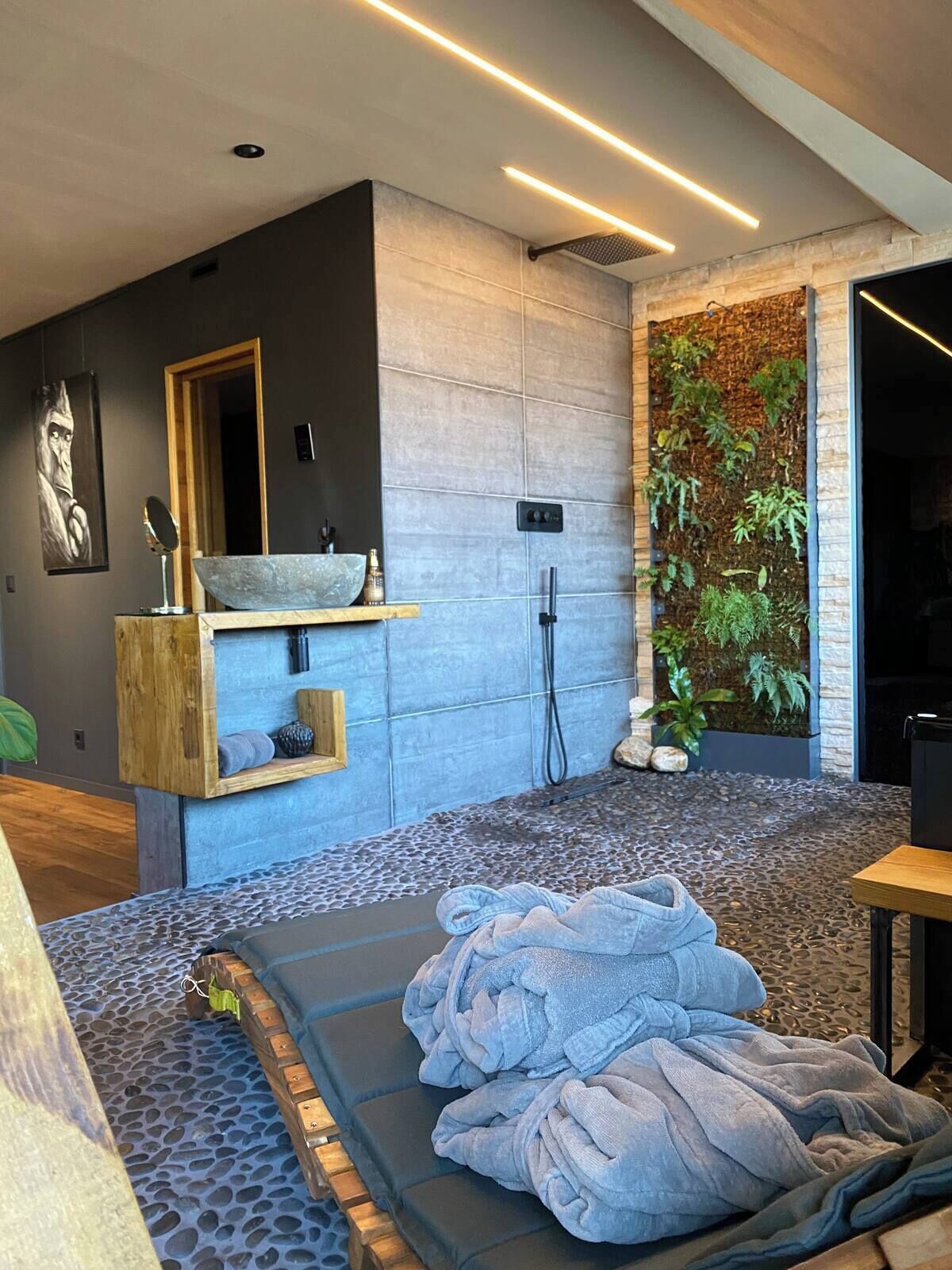 Une salle de bain moderne avec un lavabo en pierre, un miroir, une douche et une plante fixée au mur.