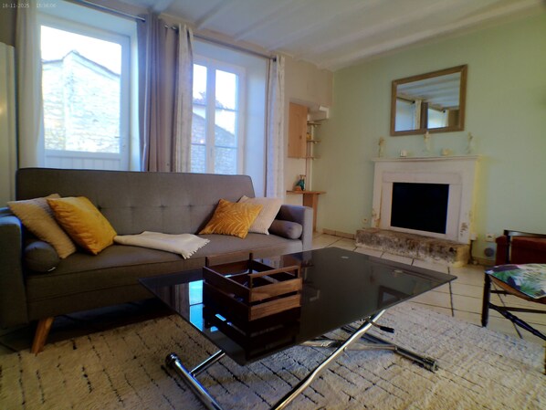 TV, fireplace, books