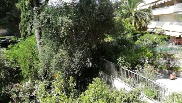 A lush garden with dense foliage and a metal fence.