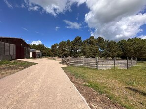 Unclassified image, 2 of 18, button - Vacation rooms in Eickhof: Relax in the idyllic Warnow region - Eickhof (Warnow)
