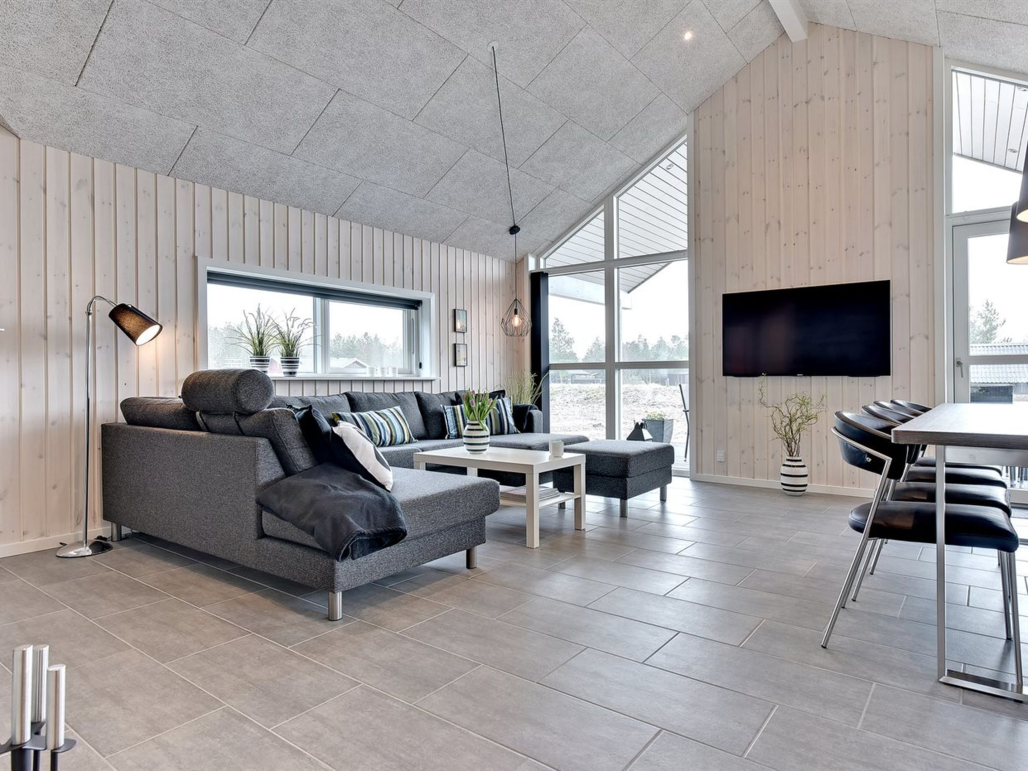 Fernseher, Kamin, DVD-Player