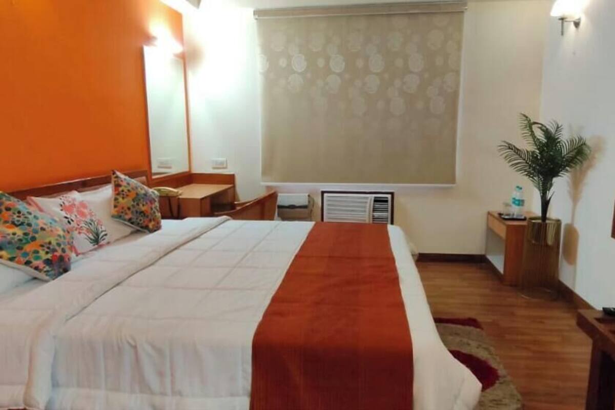 Habitación de hotel con cama, televisión, planta y ventana con cortina.