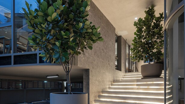 A modern building exterior with a staircase leading to the entrance, surrounded by potted plants and illuminated by under-stair lighting. - The Moment (Bangkok)