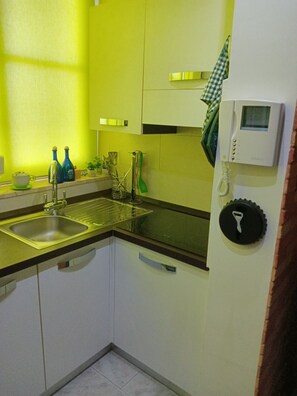 Kühlschrank, Herdplatte, Geschirrspüler, Kochgeschirr/Geschirr/Besteck