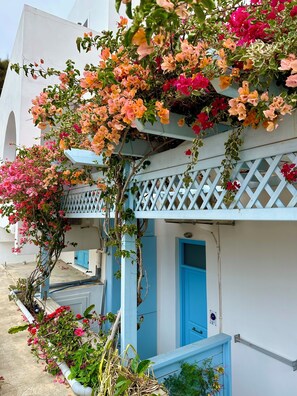 A white building with blue doors and windows, adorned with flowering vines and plants. - ADELPHI APARTMENTS (Perissa)