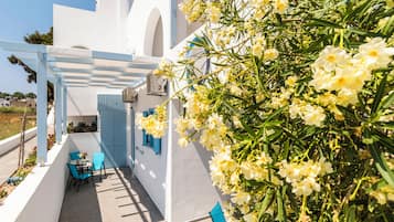 Semi-basement Economy 2 | Terrasse/Patio