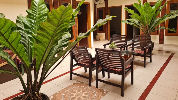 A dining area with a glass table surrounded by wooden chairs, large potted plants, and a patterned floor mat.