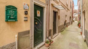 A narrow alleyway with a green door, a mailbox, and a small garden area.