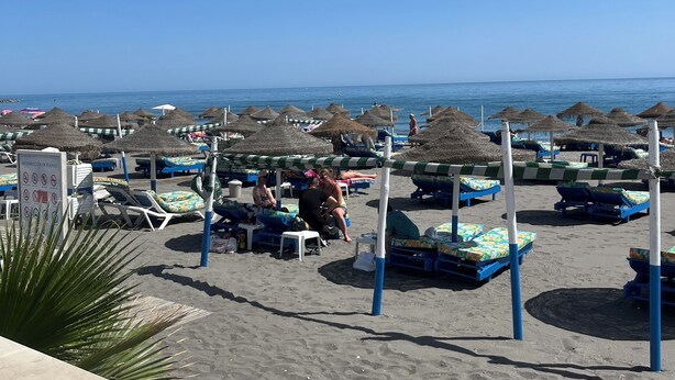 Een strand met rijen ligbedden en parasols, een bord en een palmpende.