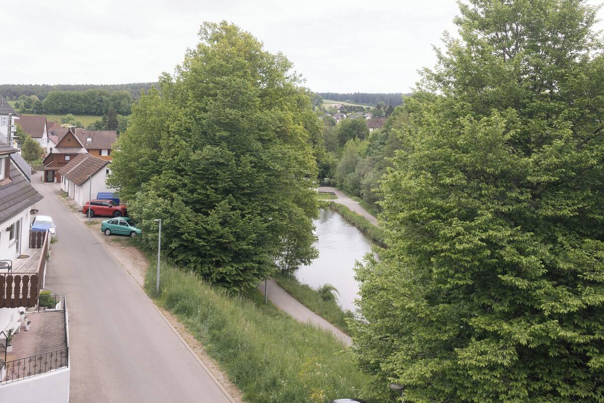 Un riu que serpenteja al costat d'una carretera, amb cases d'un costat i arbres de l'altre.