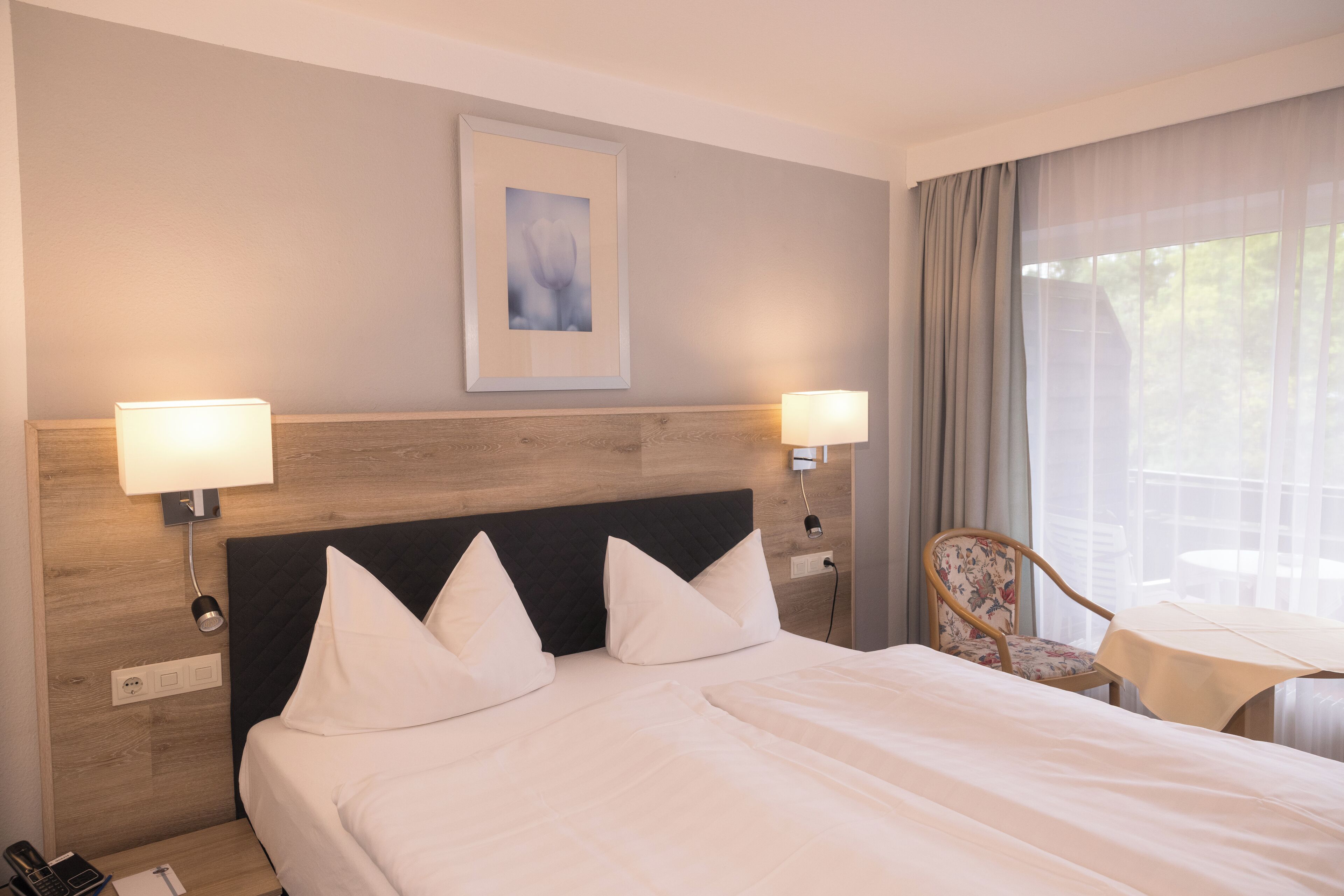 Basic-Doppelzimmer, Balkon, Bergblick | Zimmersafe, Schreibtisch, Bügeleisen/Bügelbrett, kostenloses WLAN