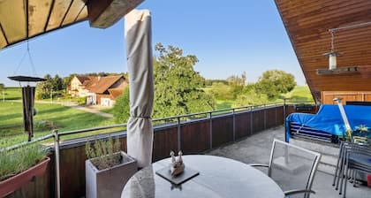 VK Zürich Airport Homestay Villa Bänikon