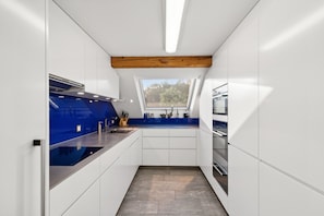 Full-sized fridge, microwave, oven, dishwasher