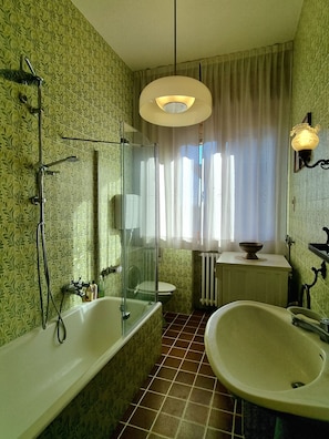 Eco-friendly toiletries, hair dryer, bidet, towels