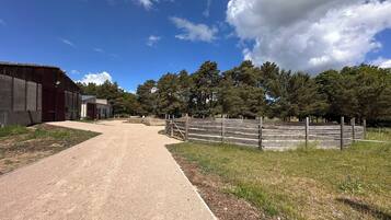 Enceinte de l’hébergement