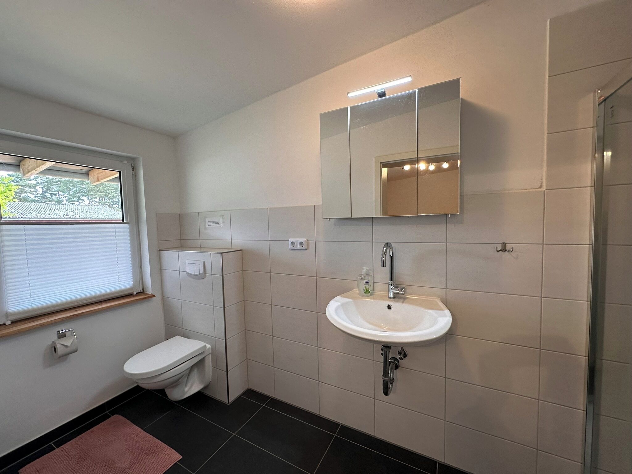 Une salle de bain équipée de toilettes, d’un lavabo et d’une douche.