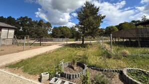 A fenced outdoor area with a dirt path, a wooden structure, and a large tree. - Modern Holiday room with Garden and Horse Riding near Warnow (Warnow)