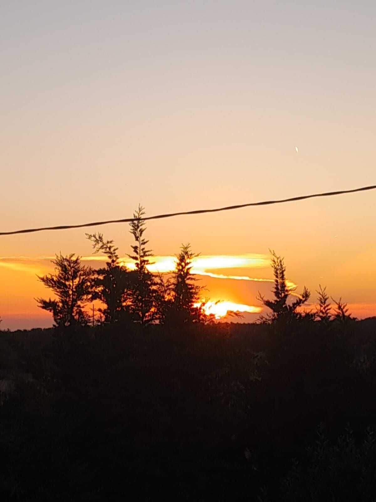 Un coucher de soleil avec les silhouettes d’arbres et une ligne électrique qui traverse le ciel.