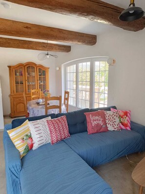 Smart TV, chimenea, reproductor de DVD y libros