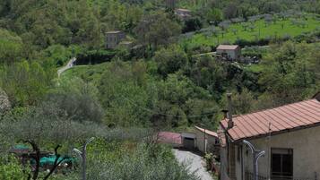 Un borgo collinare con edifici in pietra tradizionali, una strada tortuosa e vegetazione lussureggiante.