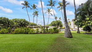 A well-maintained lawn with tall palm trees and a building in the background.