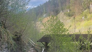 A gravel path with wooden railings leading to a wooden shelter in a forested area. - Forellenhof (Pottenstein)