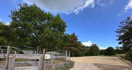 Ferienhof Eickhof: Relaxing and riding in the idyllic Warnow region - Eickhof