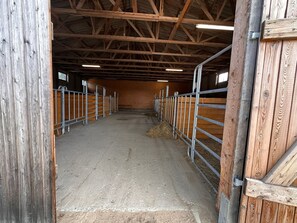 Unclassified image, 4 of 37, button - Ferienhof Eickhof: Relaxing and riding in the idyllic Warnow region - Eickhof (Warnow)