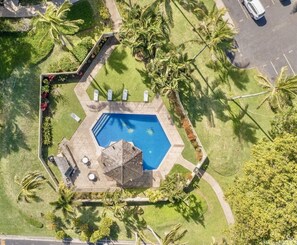 Pool - ~New~ Hale Kai at Turtle Bay Golf Course (Kahuku)